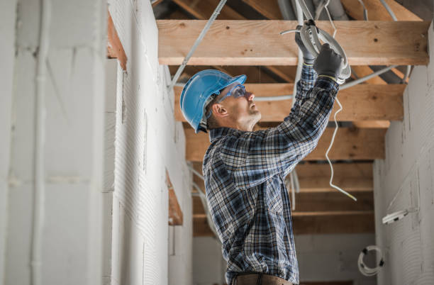 Best Electric Panel Repair  in Val Verde Park, TX